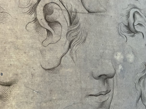 Image 1 of Rare étude anatomique du XVIII ème siècle par Cipriani 