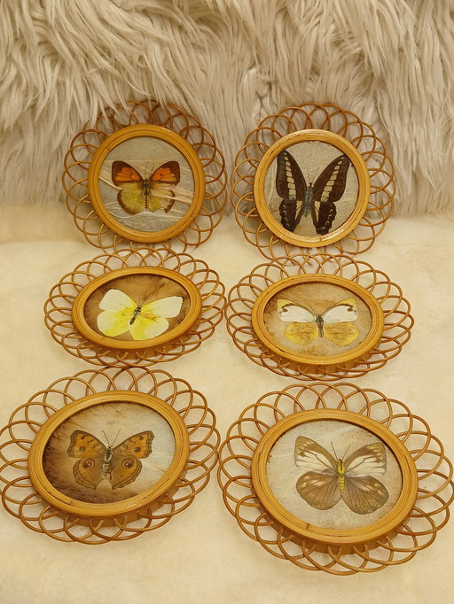 Sottobicchieri vintage in bambù con farfalle