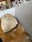 Vintage Turtle Planter 1980s – Plant pot (photo 7 of 7)