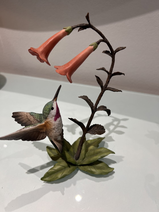 Image 1 of Alan Singer Franklin Kolibri / Hummingbird Porzellan