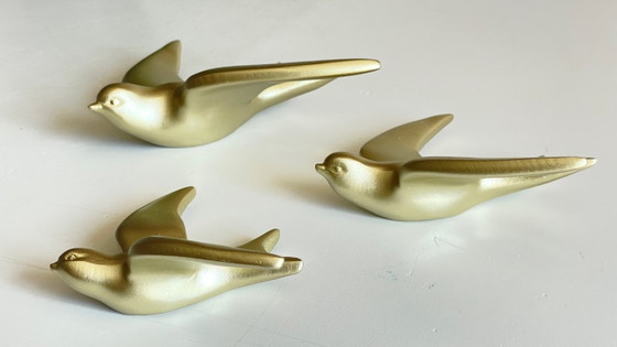 Image 1 of Hirondelles dorées