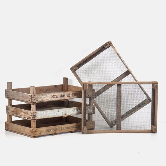 Wooden box for tulip bulbs (c.1980) – Garden accessories, Metal, Rustic (photo 7 of 9)