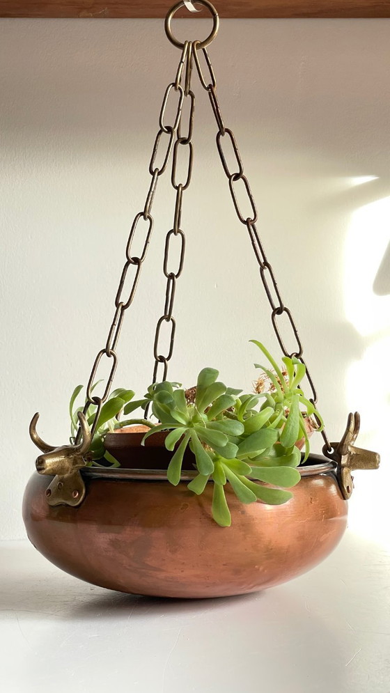 Image 1 of Fioriera sospesa con 3 bufali d'epoca