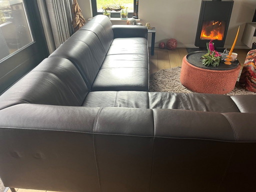 Bert Plantangie; modello di divano in pelle marrone Ryke