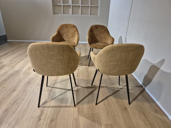 Image 1 of 6 Chaises Montel Nora - Salle à manger - Ocre - Cognac - Design