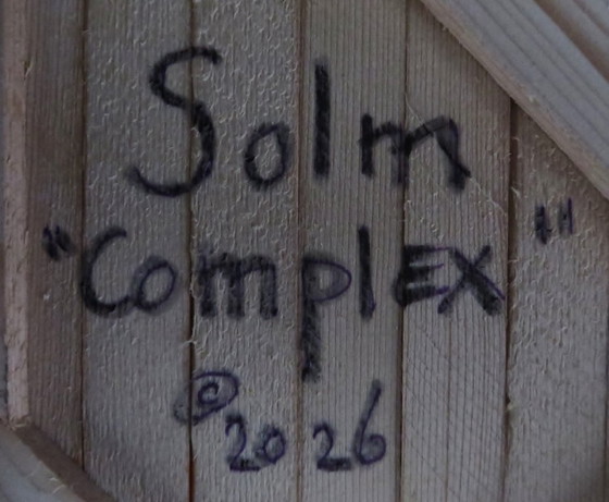 Image 1 of Eric van Solm - 'Complejo'
