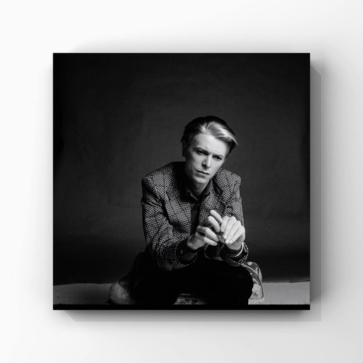 1x David Bowie (1975)  station to station periode 