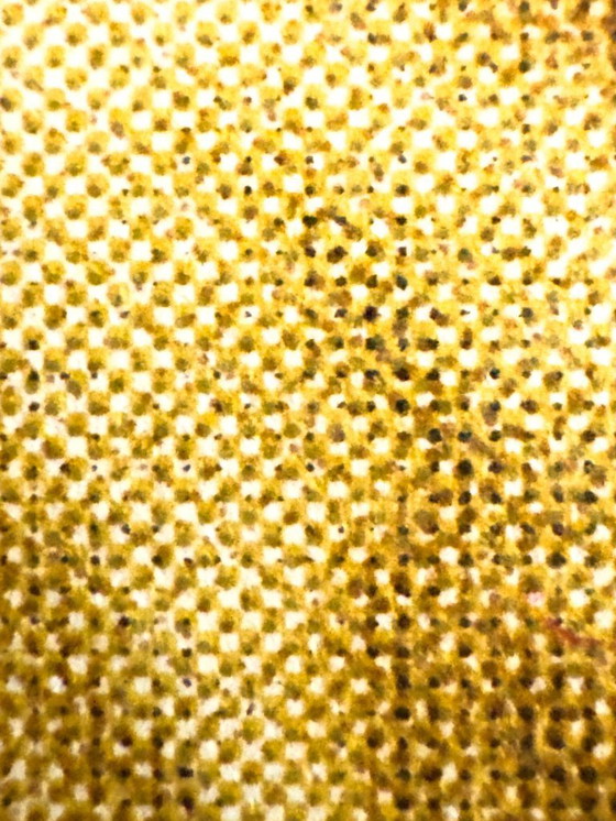 Image 1 of 🐶 CYRK – Hond met voetbal – 1973 – Originele poster van Danuta Żukowska | Lithografische afdruk | 96×65cm | Polen