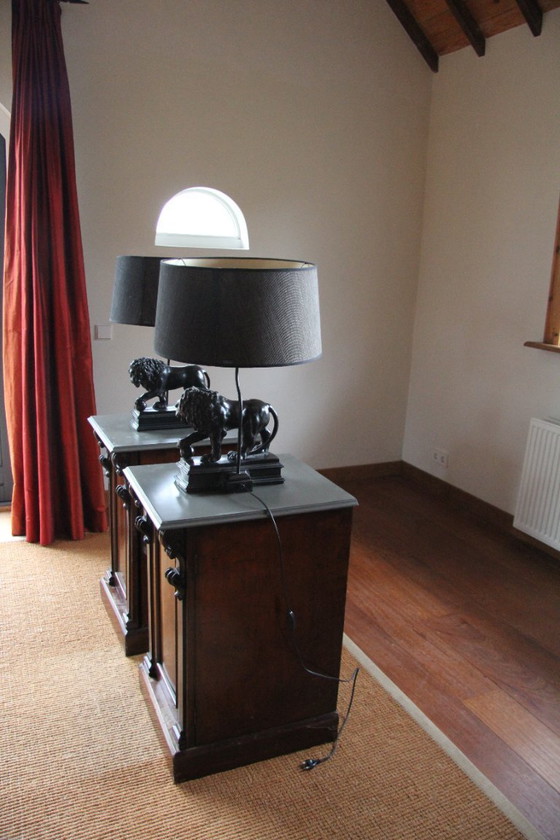 Image 1 of 2 bijzondere vintage tinkleurige tafellampen met leeuwen voet 