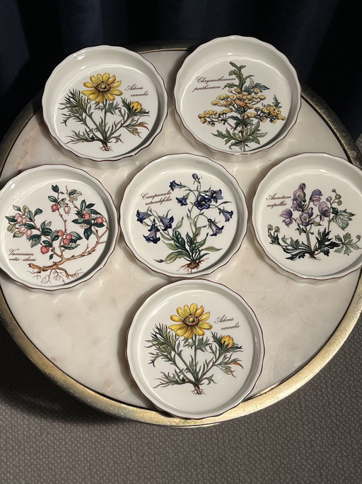 Juego (6) cuencos Villeroy & Boch Vilbofour Botanica