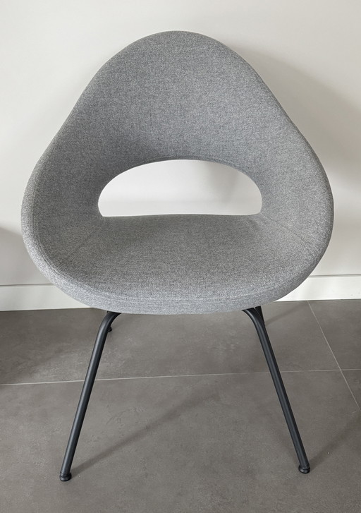 6x sedia da pranzo Artifort Shark