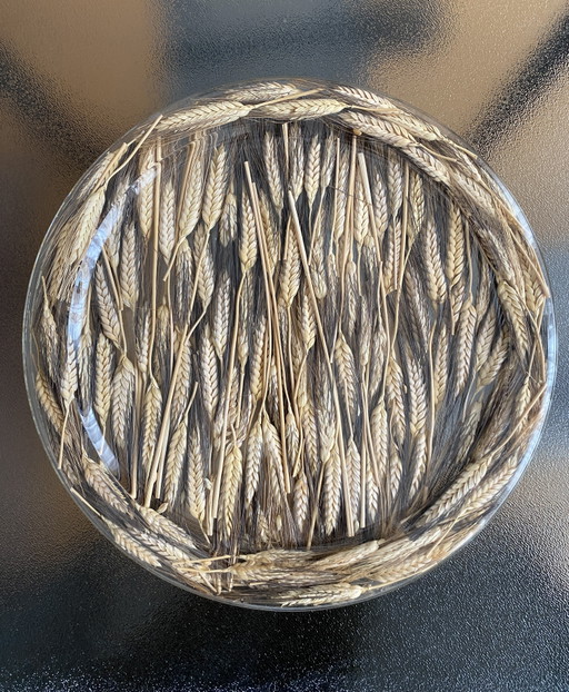 Cheese Tray “Wheat” Dior