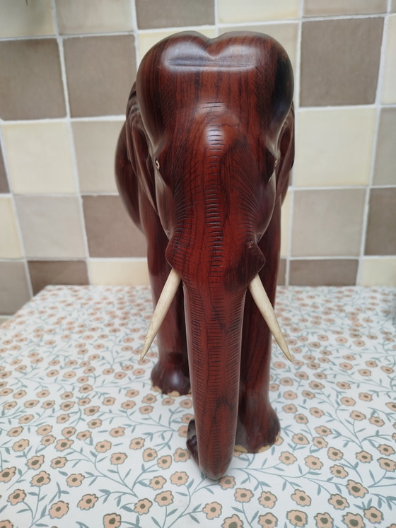 Image 1 of Gros éléphant