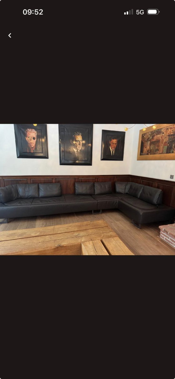 De Sede Modello DS-11 Svizzera – Divani angolari, Leather (photo 4 of 5)
