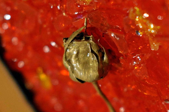 Image 1 of Materialarbeit, signiert von Vincenzo Marega 1