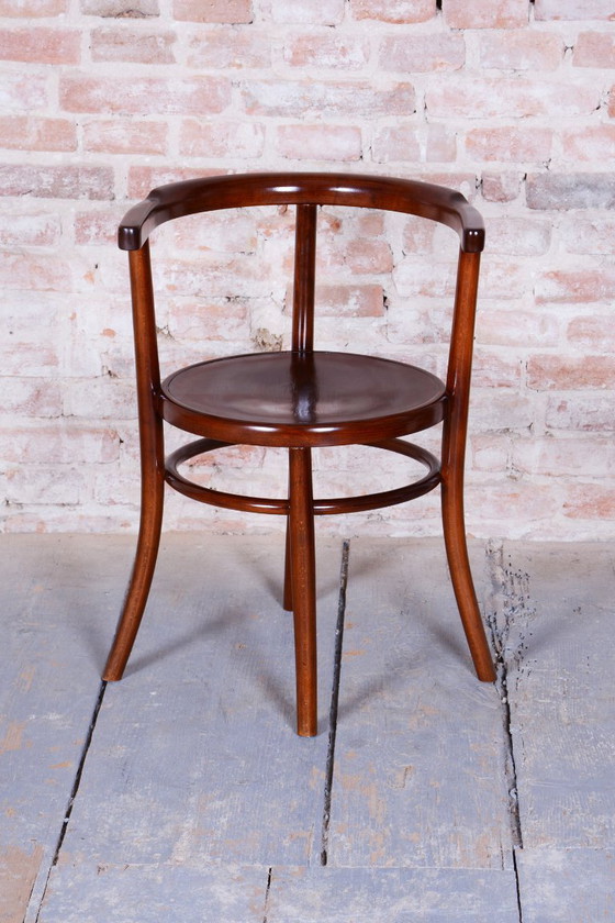 Restored Art Deco Chair, by Thonet, Beech, Revived Polish, Czech, 1920s – Chairs and lounge chairs, Wood (photo 6 of 10)