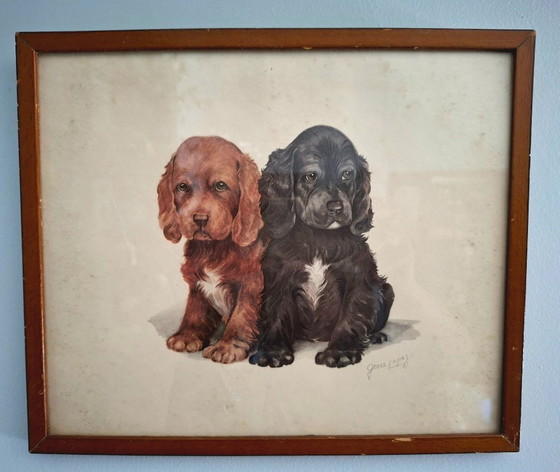 Image 1 of Litografia americana d'epoca, circa 1950, di Grace Lopez - Cuccioli di Cocker Spaniel - Decorazione