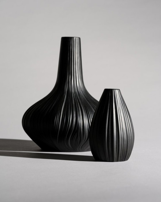 Image 1 of Rosenthal Porcelaine Noire “Plissée” Curated Duo by Martin Freyer Matte Black
