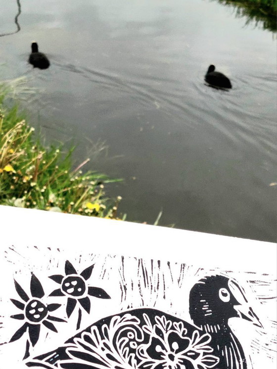 Image 1 of Coot Linocut Print: Handmade River Duck Art