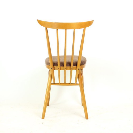 Image 1 of Juego de cuatro sillas de comedor de Tatra, Checoslovaquia, década de 1960