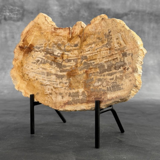 Image 1 of Madera fosilizada de Sooka, soporte hecho a medida (nuevo)