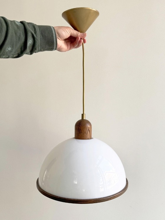 1 lampe suspendue champignon vintage Steinhauer en plexiglas et chêne – Suspensions, Wood (photo 4 of 6)