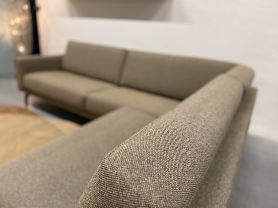 Image 1 of Leolux Bellice Canapé d'angle Loft Malanga 270x279