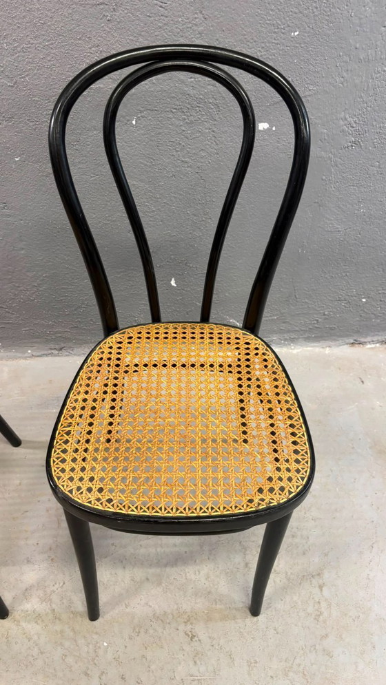 Image 1 of Een paar gebogen houten stoelen, met Weense rieten zittingen, jaren 60, Polen
