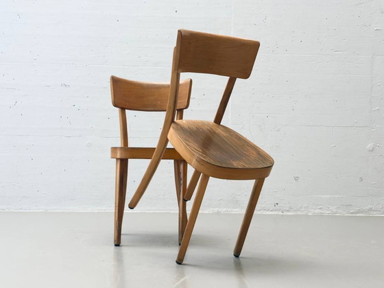 Image 1 of Set van 6 gebogen houten stoelen, gemaakt van massief hout, Thonet ZPM Radomsko, Polen, jaren 1950.