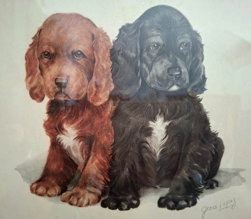Cuadro Litografía vintage americana ca.1950 de Grace Lopez - cachorros de Cocker Spaniel - Decoración