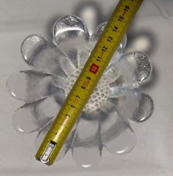 Image 1 of Cuencos Wedgwood Daisy 6x