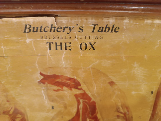 Image 1 of Schulplakat Metzgerschule „Het Rund“