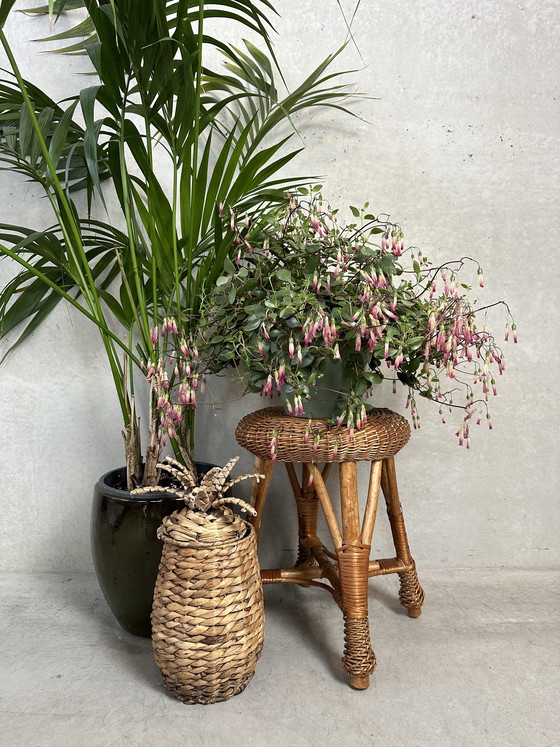 Image 1 of Sgabello vintage in vimini/bambù