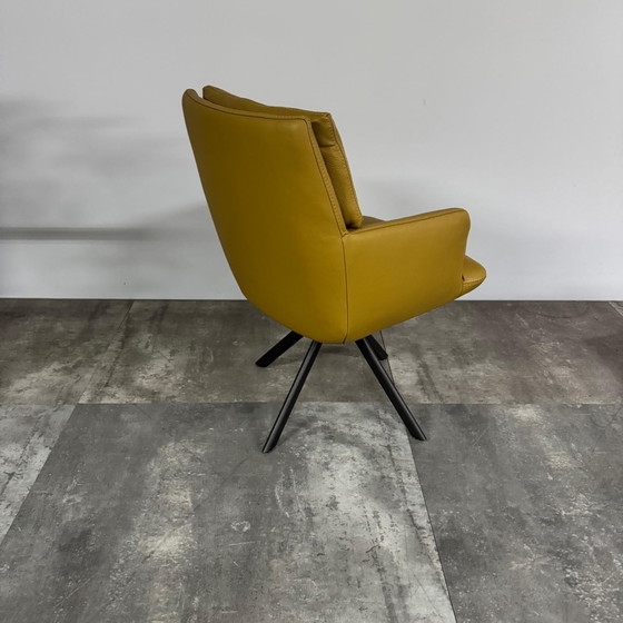 Image 1 of Roos  Set van 6