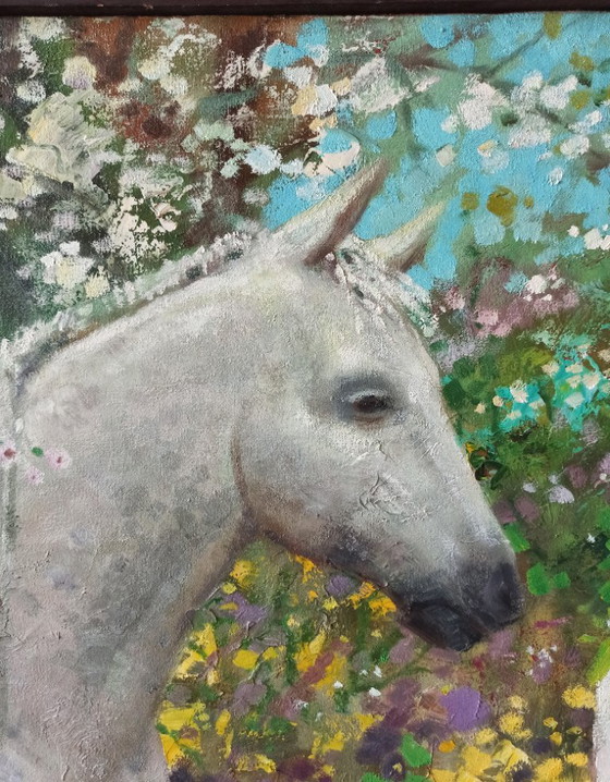 Original Oil Painting Abstract Girl With Horse Nature Spring – Paintings & Drawings, Canvas (photo 5 of 8)