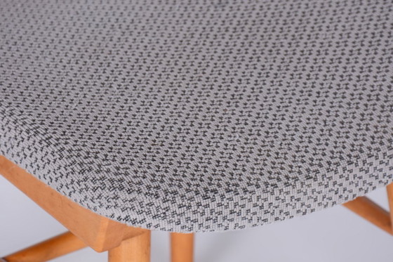 Set of Four Original Mid-Century Modern Chairs, Beech, Czech, 1960s – Jitona, Dining chairs, Textile, Wood (photo 6 of 15)