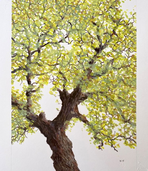 Young Green – Peintures et dessins, Paper (photo 2 of 6)