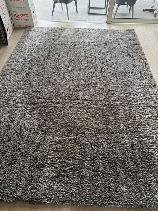 High pile wool rug Carpet Sign 3.5 x 2.5 m incl. carpet pad