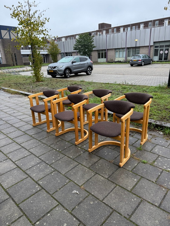 6x sedia da pranzo restaurata in faggio, Germania anni '70 – Sedie da pranzo, Legno, Tessile (photo 14 of 15)