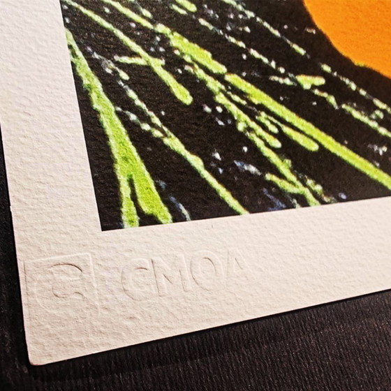 Image 1 of 1980s Andy Warhol "Flowers" Limited Edition Lithograph by CMOA.