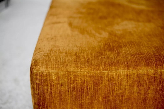 Image 1 of 2x Velluto di schiuma &quot;Fauve&quot;