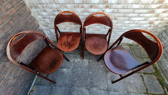 Image 1 of Sedie pieghevoli in legno n. B 751, Thonet Cosmos stampa coccodrillo