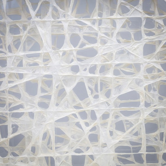 Image 1 of Organische vezelkunstcompositie in een glazen schaduwdooslijst, jaren 1990