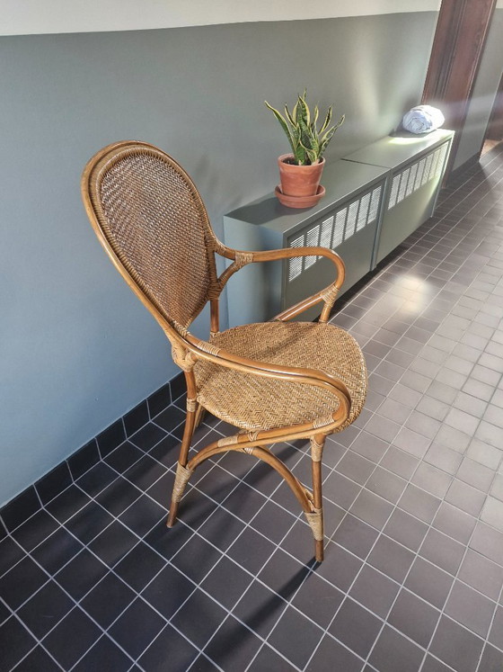 Image 1 of 1 sedia da pranzo Sika Design