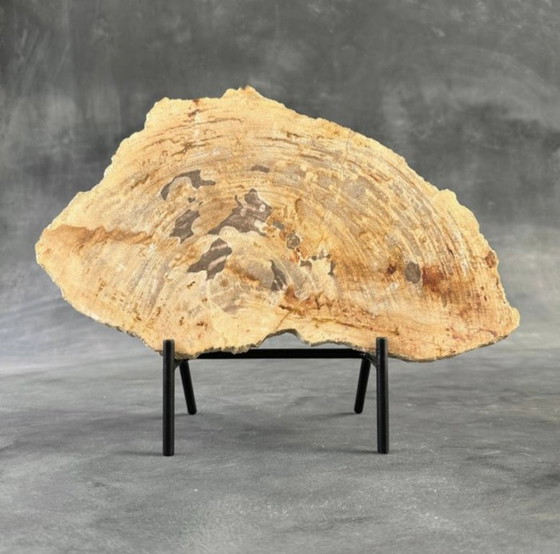 Image 1 of Bois fossilisé de Sooka, fabrication sur mesure standard (neuf)