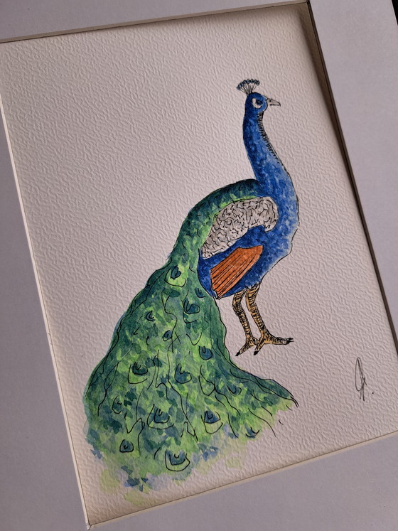 Image 1 of Original watercolor peacock in frame