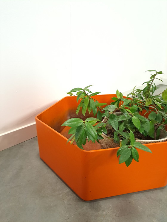 Image 1 of Maceta de plástico naranja para flores