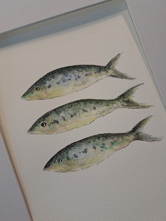 Image 1 of Aquarelle originale représentant trois sardines | Cadre inclus
