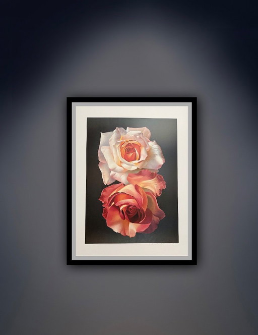 Franco Campana: "Due Rose, 1999." Signed in the Plate. Beautiful Colors!