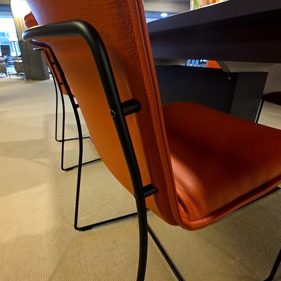 Image 1 of Jori Piuro